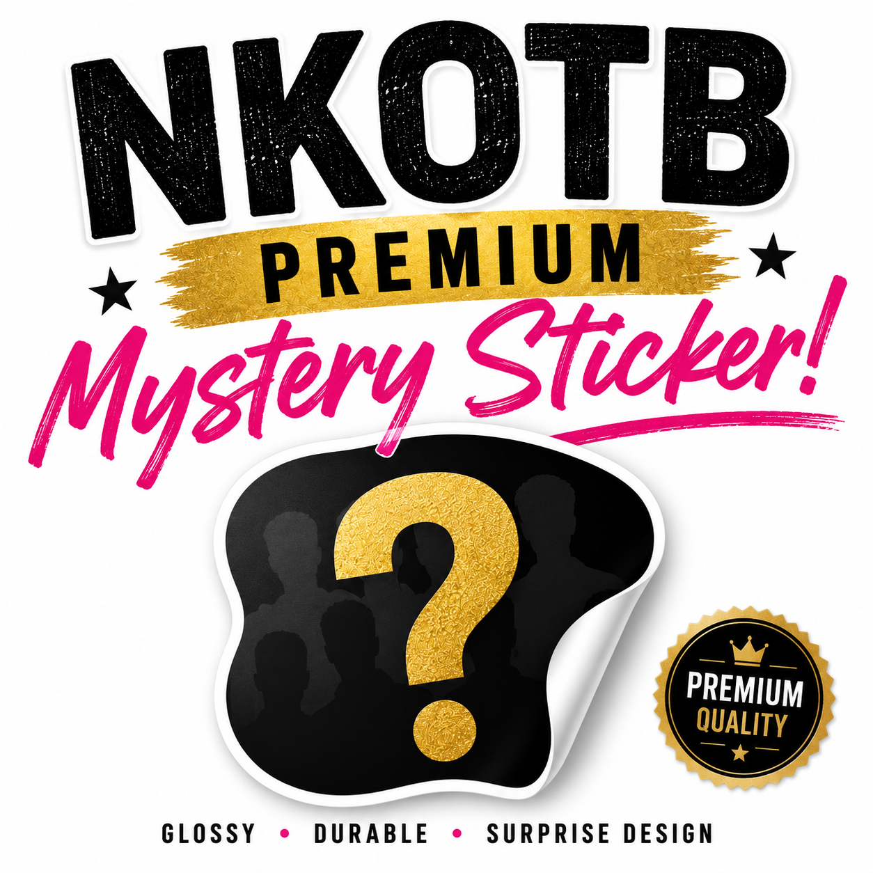 PREMIUM NKOTB Mystery Sticker!